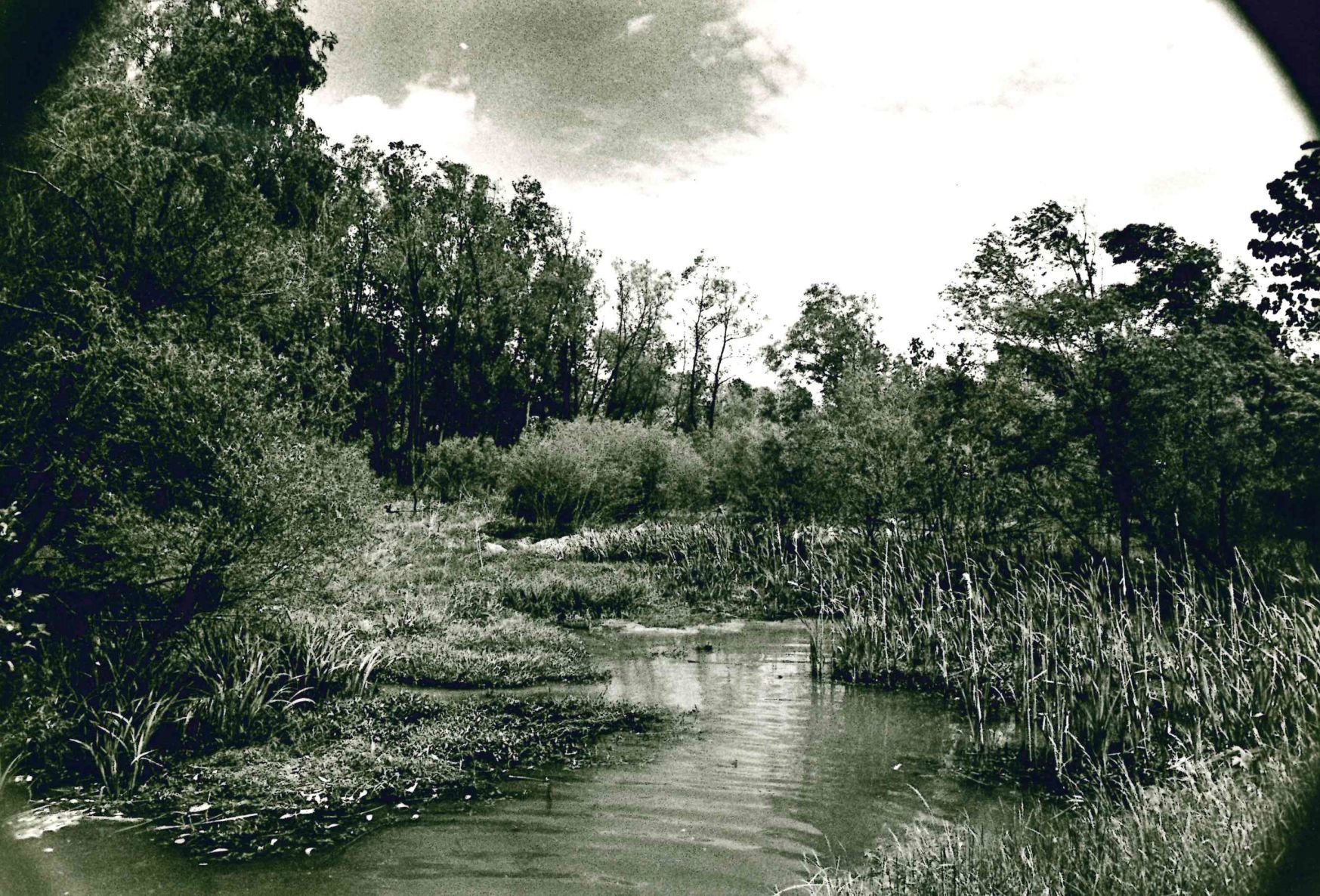 Silted-in area